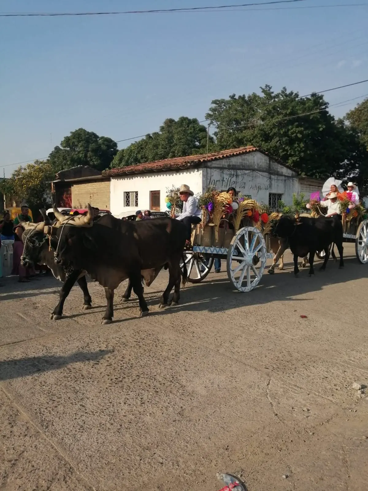 Carro alegórico adornado con flores en la Regada de las Velas del Istmo