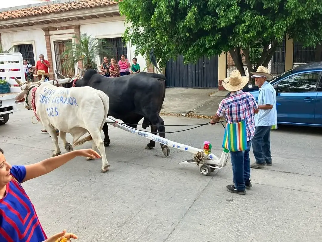 Regada de frutas en las Velas del Istmo de Tehuantepec